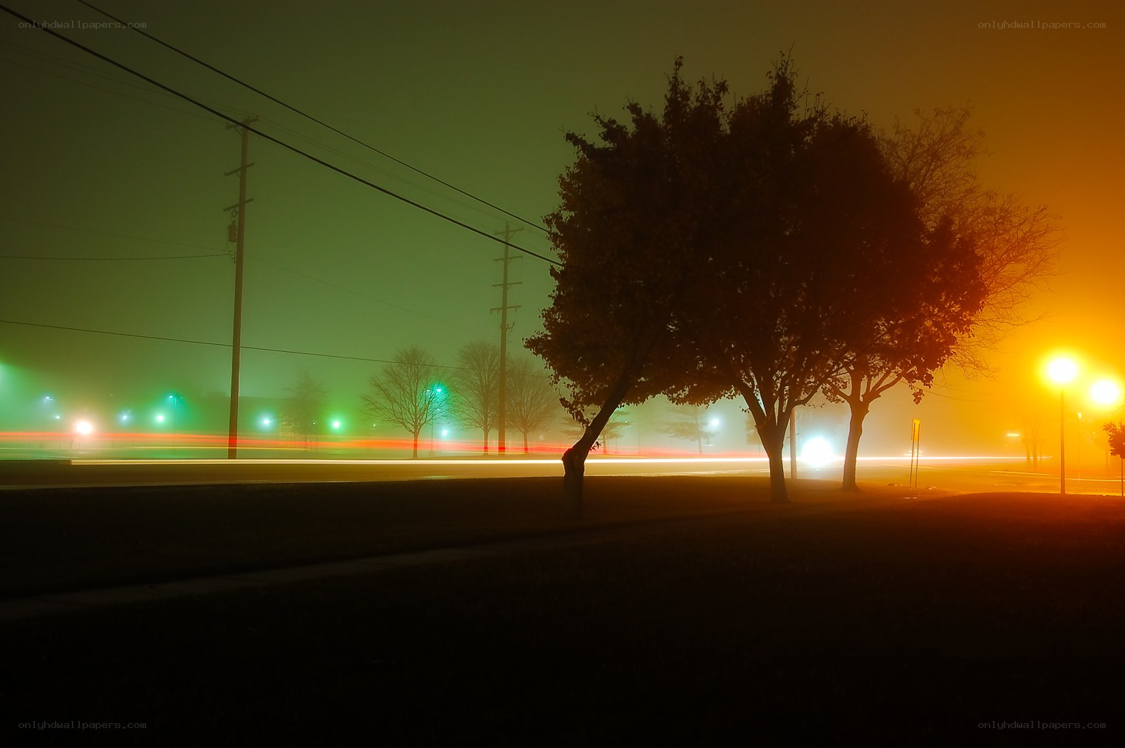 Foggy Night Lights