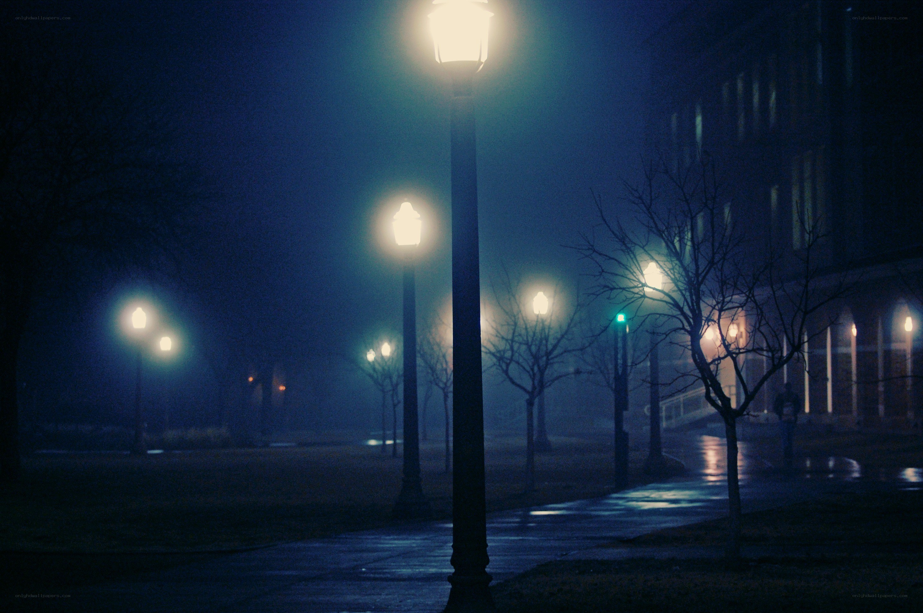 Foggy night on campus