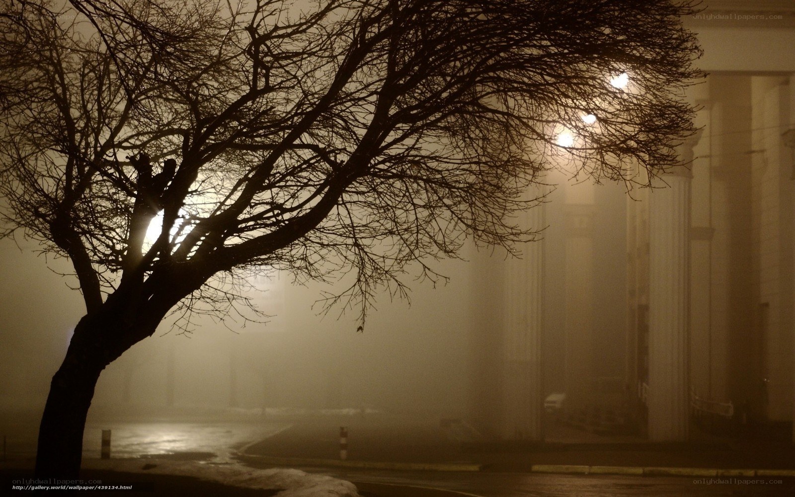 Foggy Night Street Scene