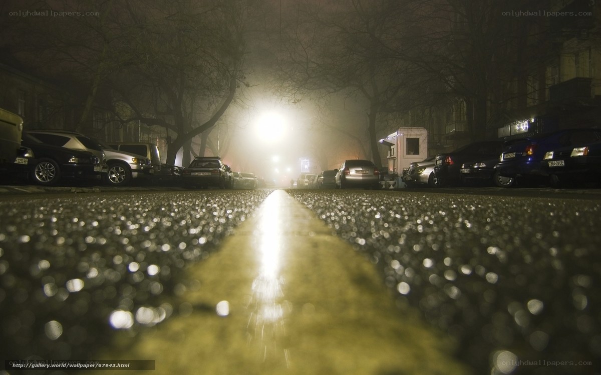 Foggy Night Street