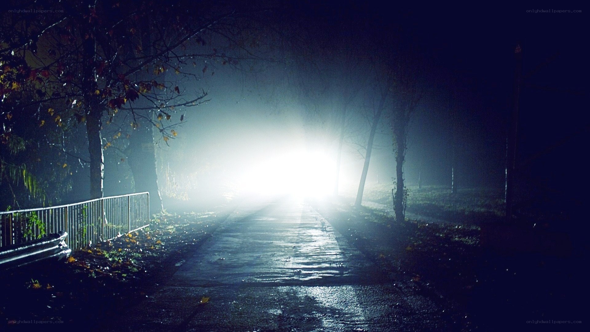 foggy night with car headlights
