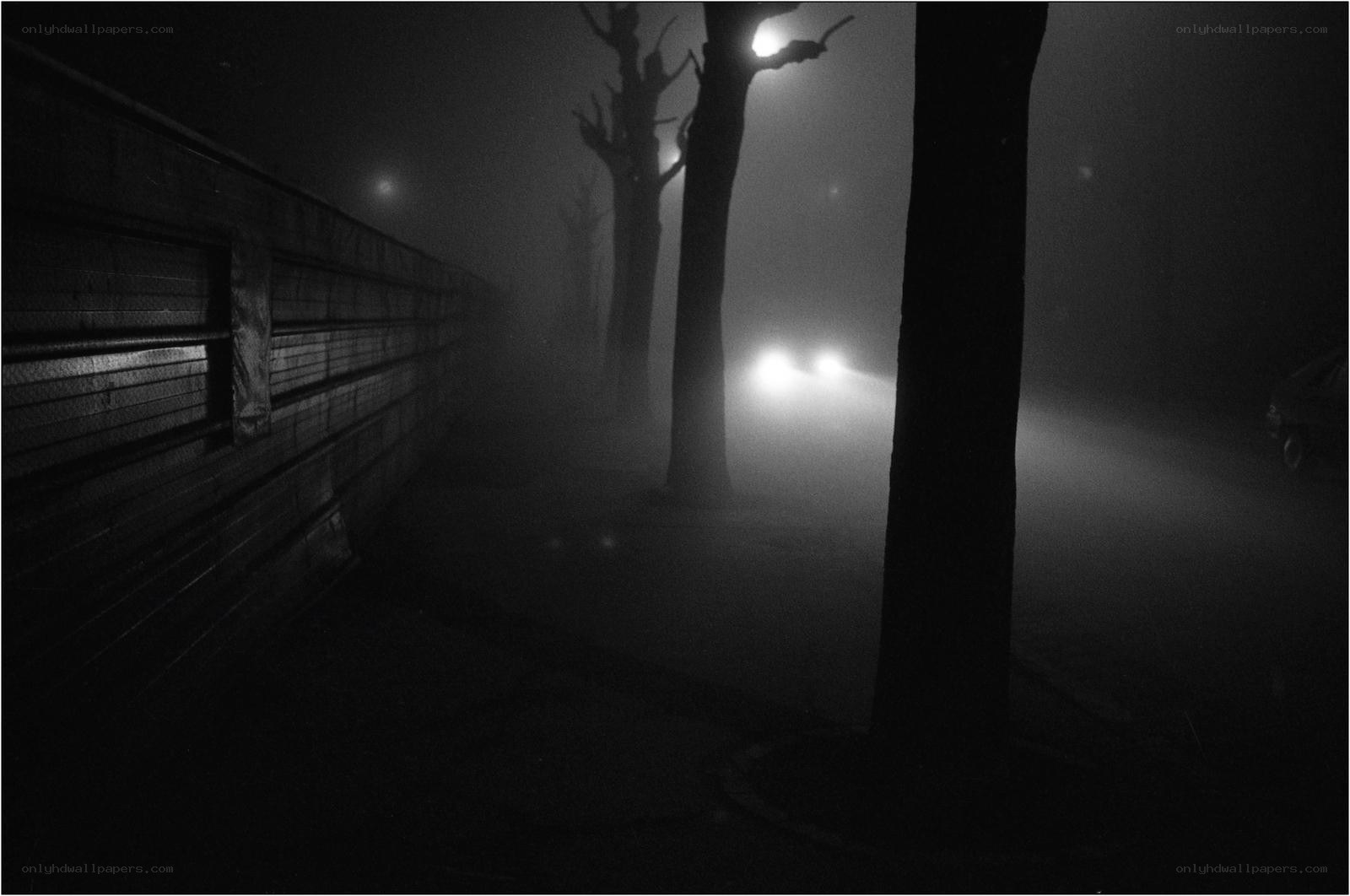Foggy night with car headlights