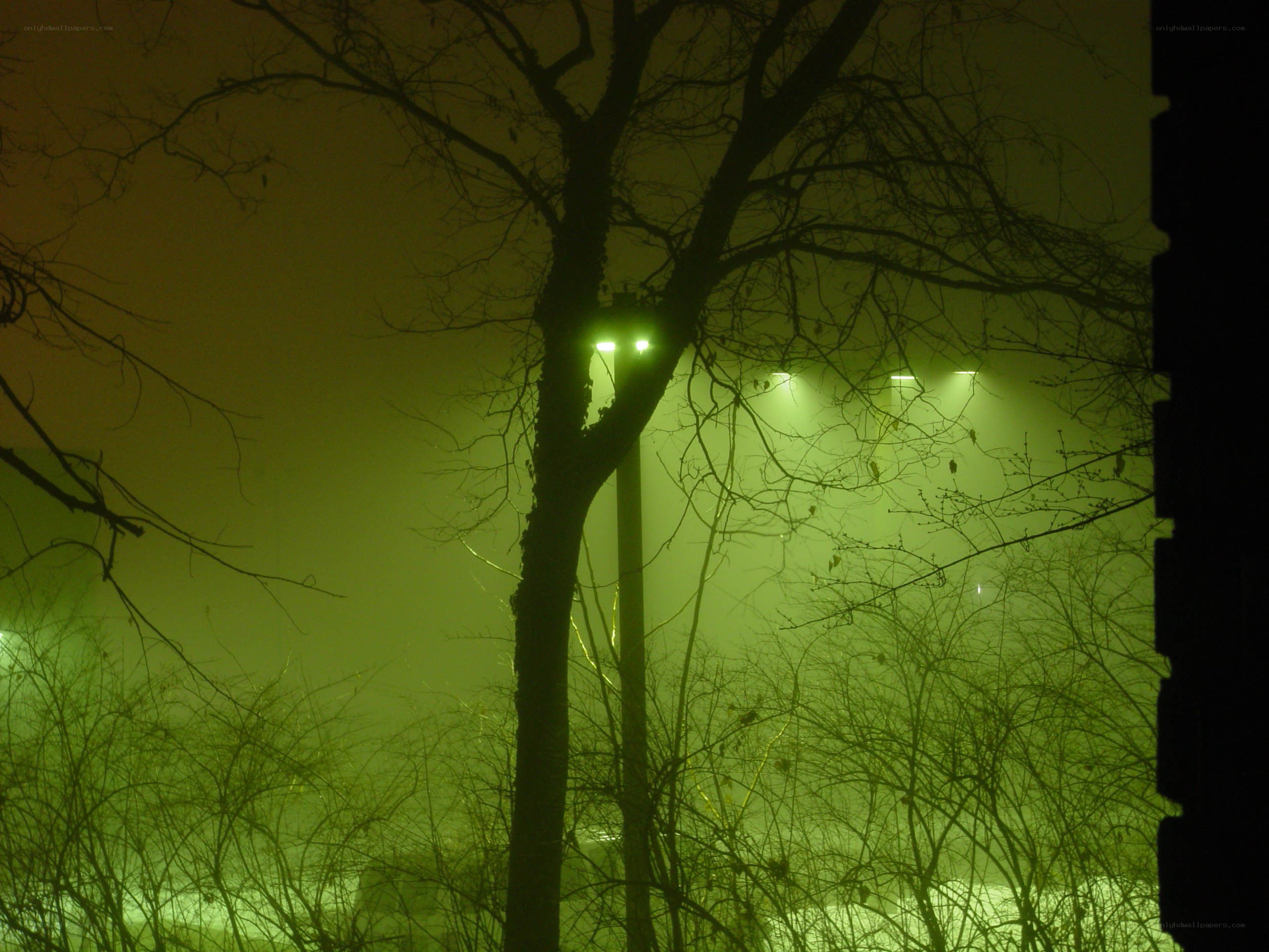 foggy night with green lights