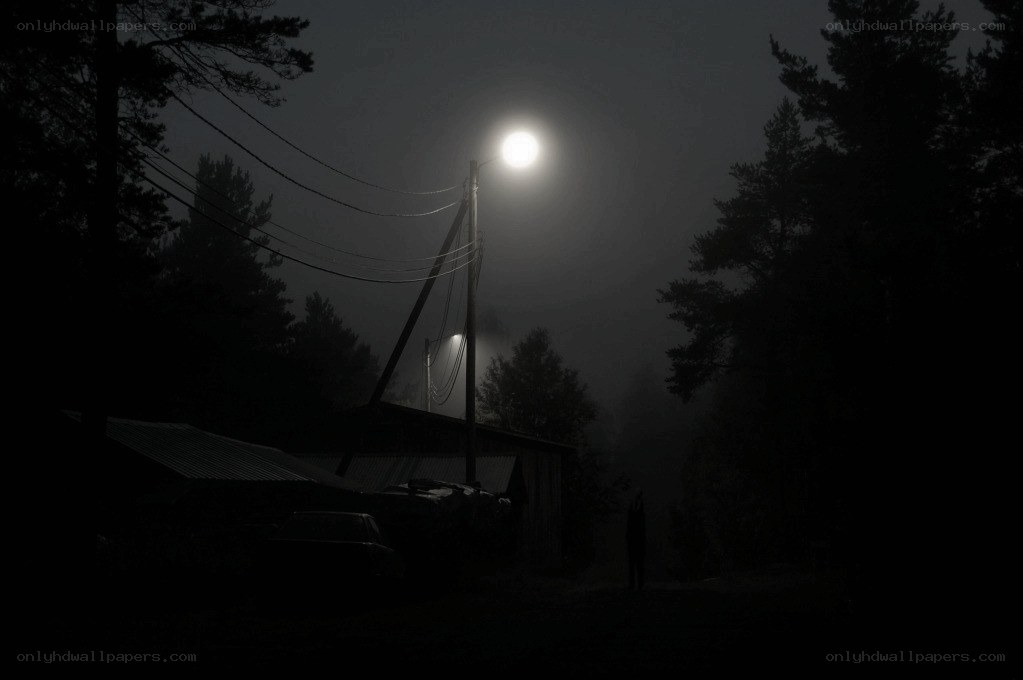 Foggy night with streetlight