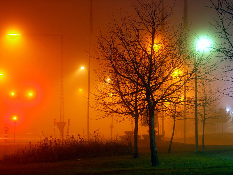 Foggy night with streetlights