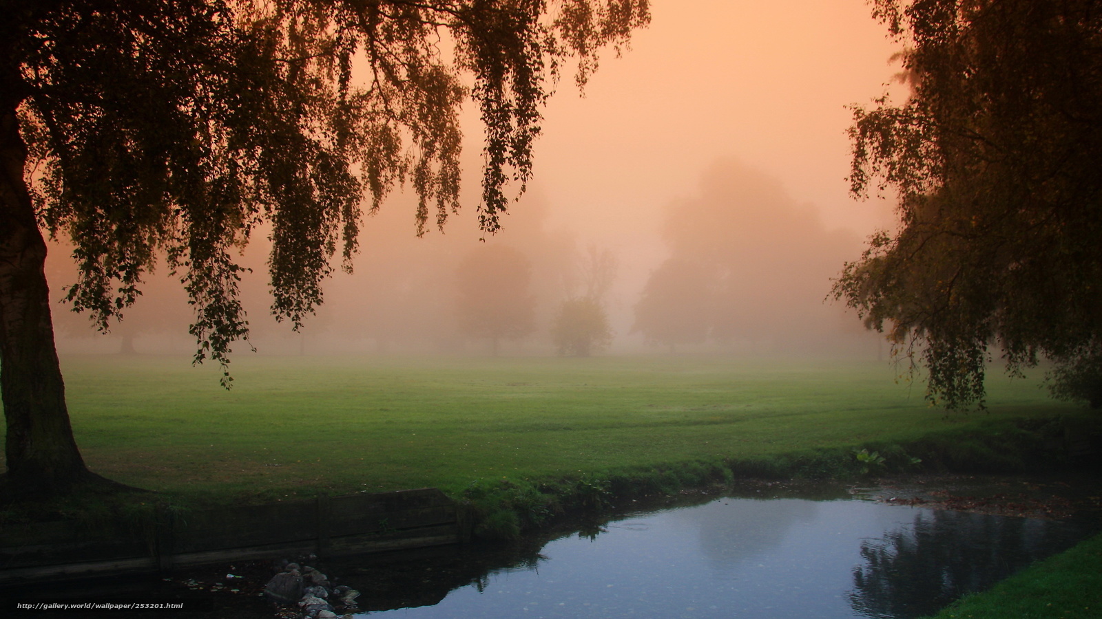 Foggy Park at Dawn