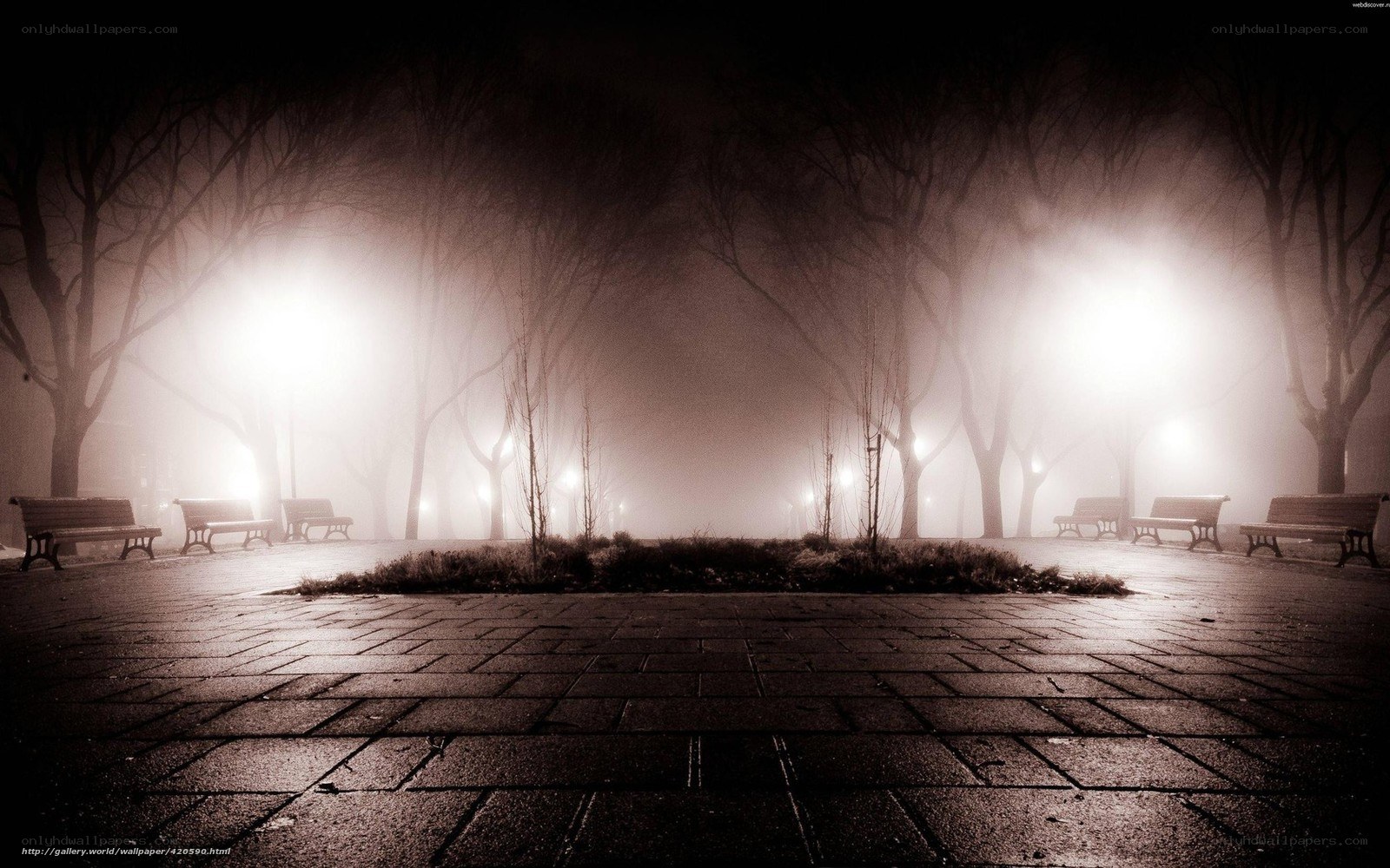 Foggy Park at Night