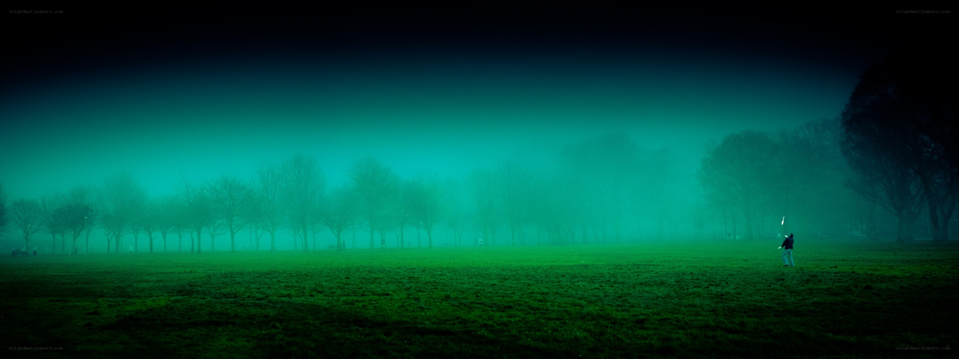 Foggy park at night