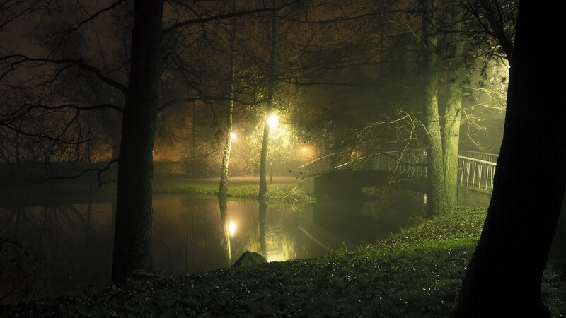 Foggy Park at Night — Green