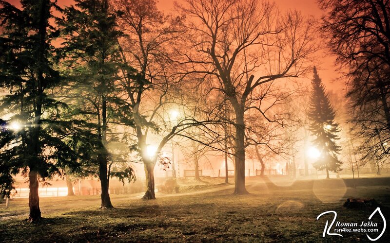 Foggy Park at Night — Orange