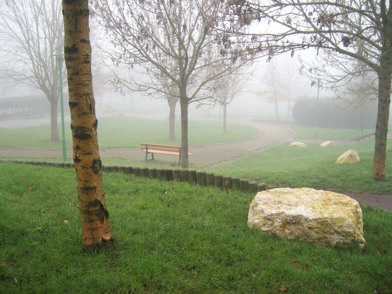 Foggy Park Bench — Green