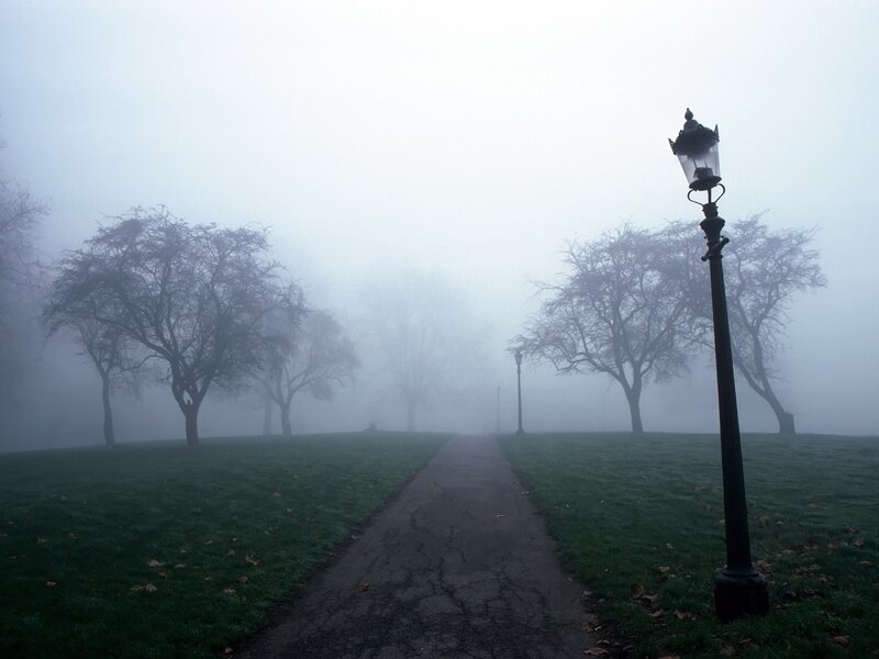 Foggy park path