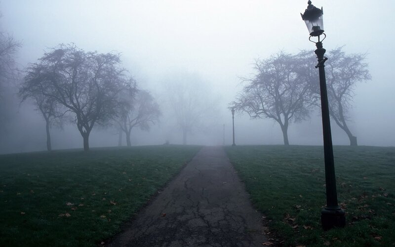 Foggy park path