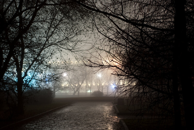 foggy park path at night