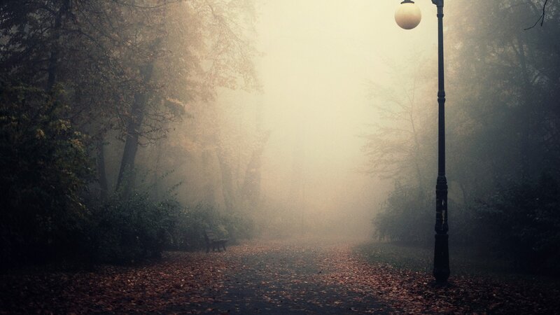 Foggy Park Path — Brown