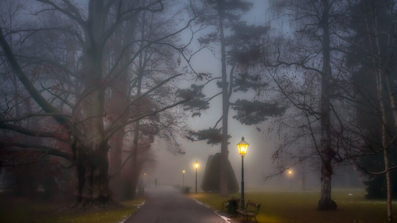 Foggy Park Path — Gray, Misty