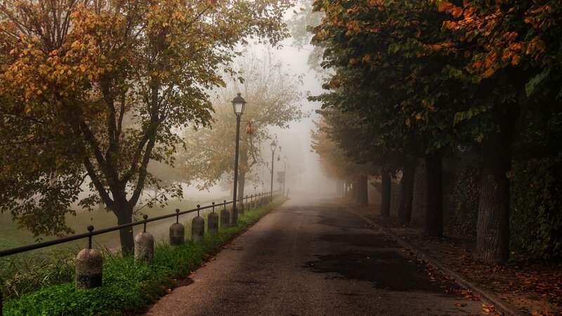 Foggy Park Path — Green, Misty