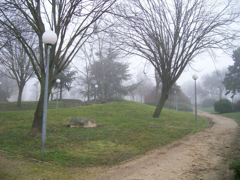 Foggy Park Path — Green, Misty, Winter