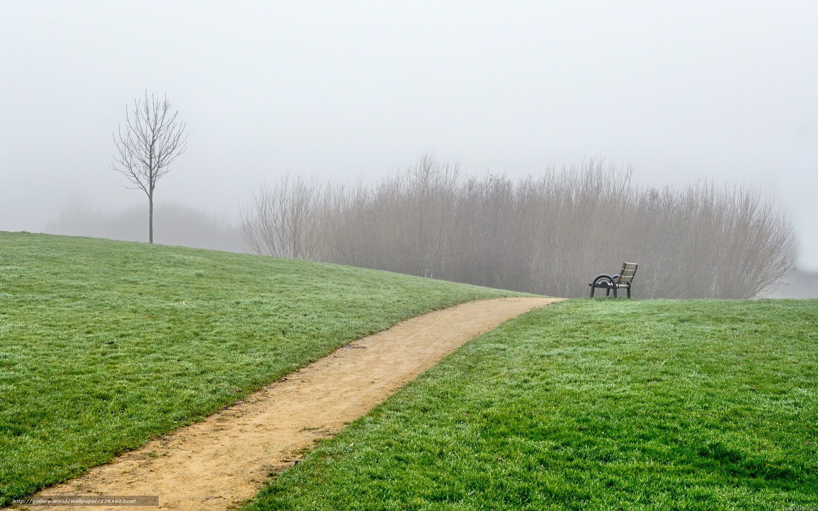 Foggy park path with bench