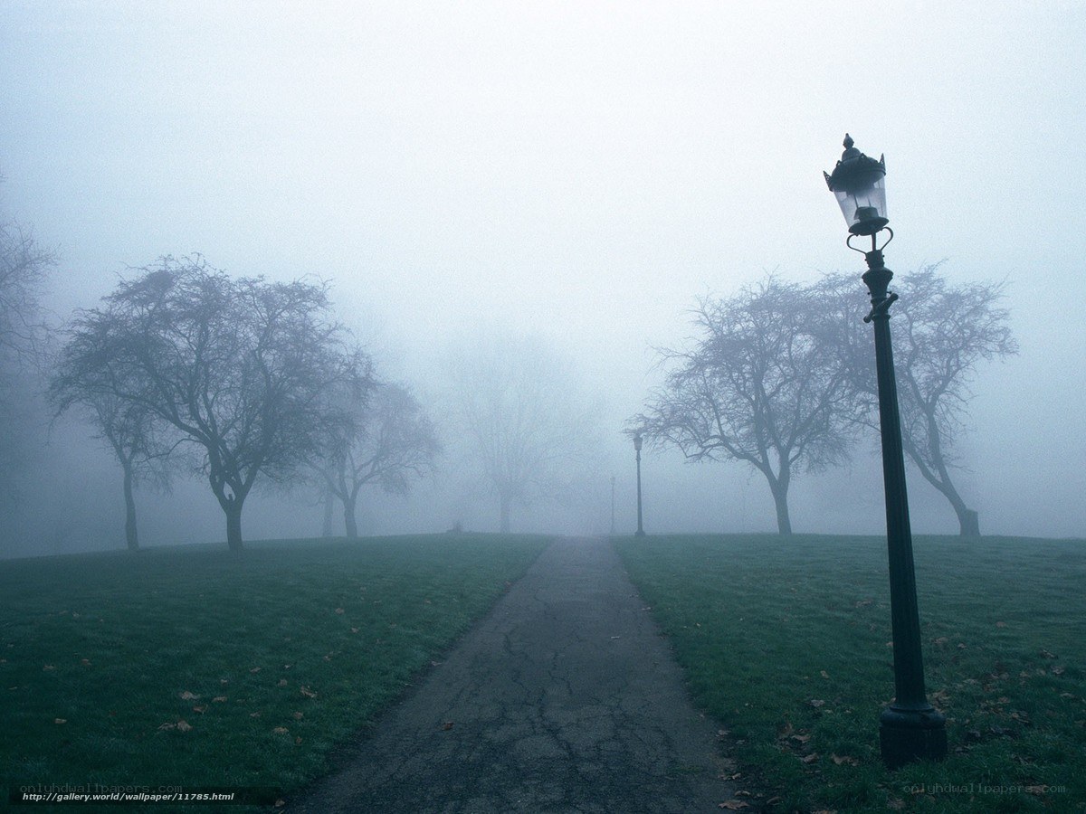 Foggy park path