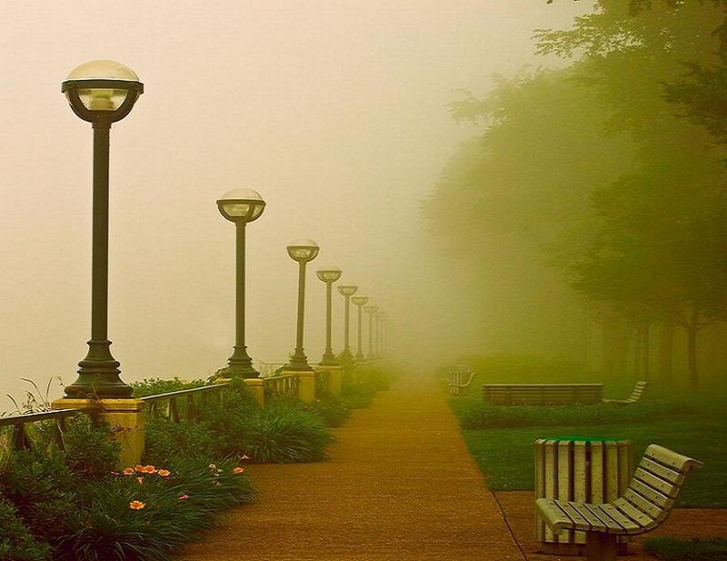 Foggy park pathway