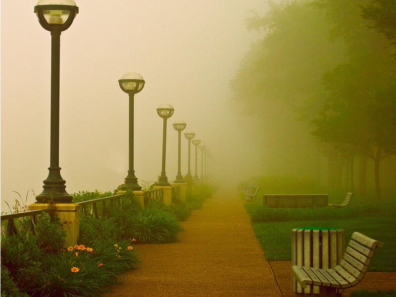 Foggy Park Pathway — Green
