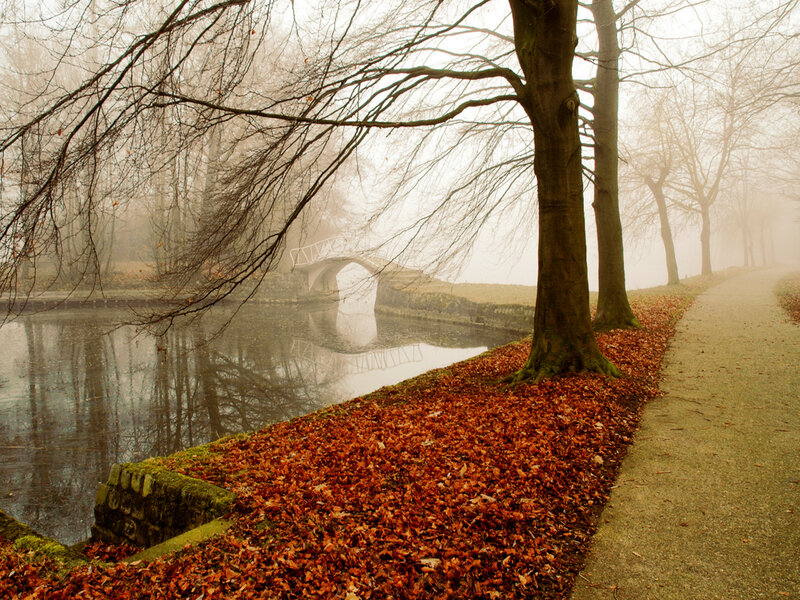 Foggy Park with Bridge