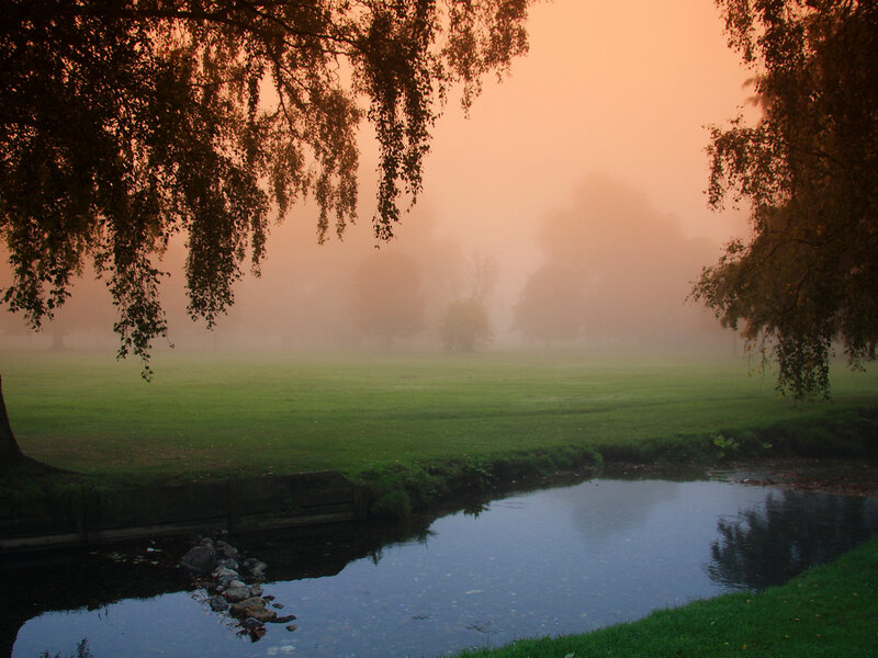 Foggy Park with Pond