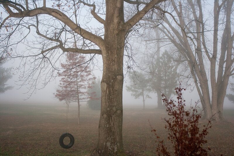 Foggy park with tire swing
