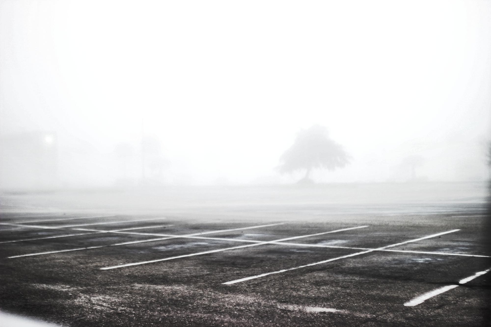 Foggy parking lot