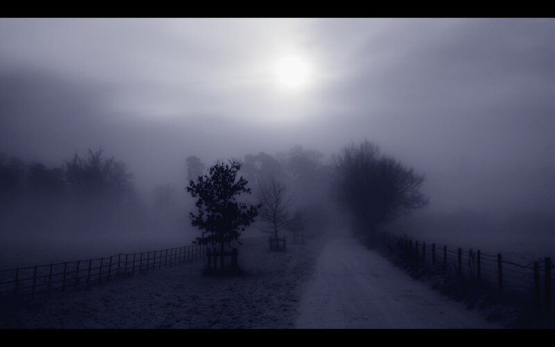 Foggy path at dawn