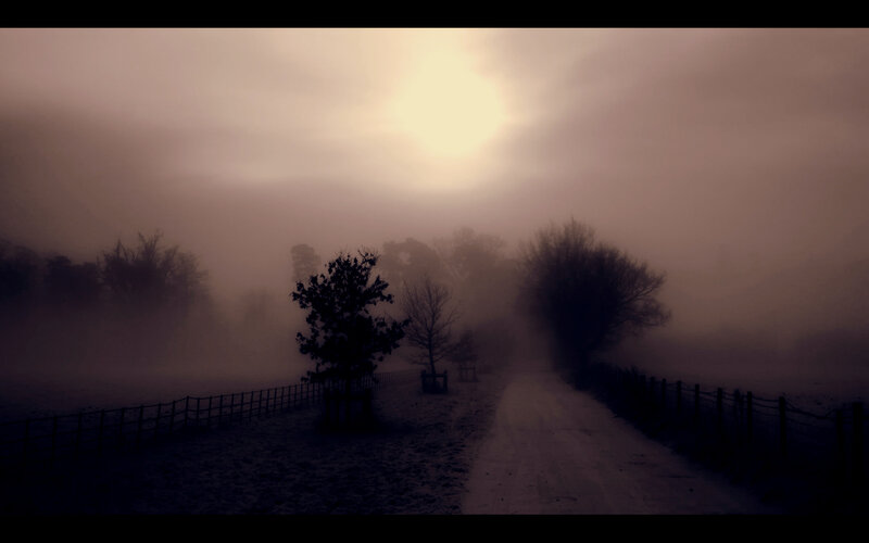 Foggy path at dawn