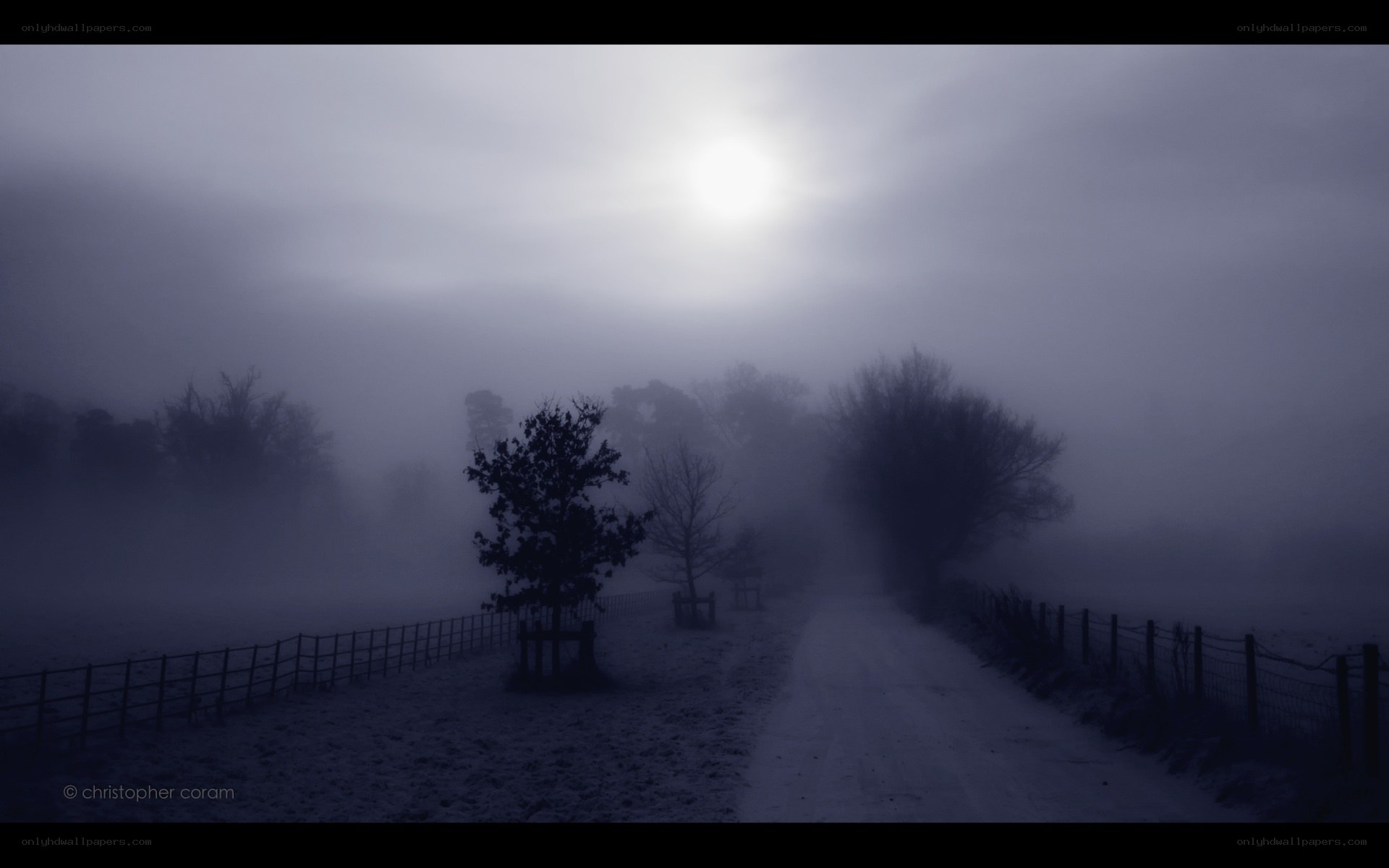 Foggy path at dawn