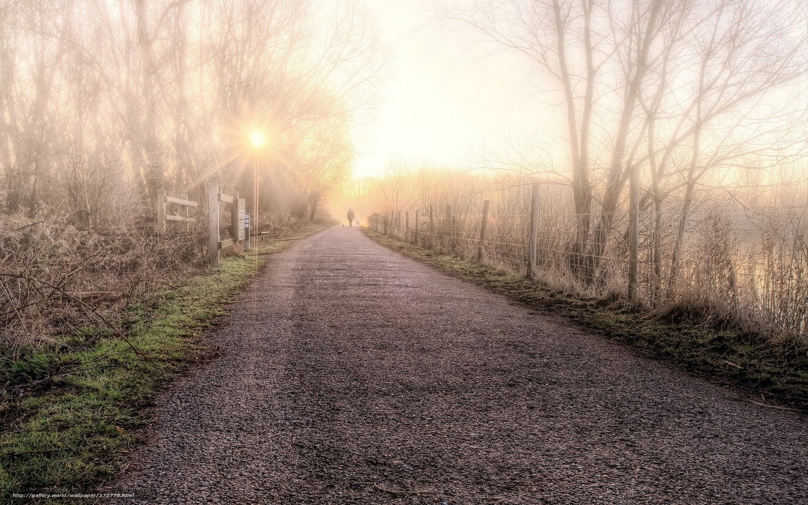 Foggy path at sunrise