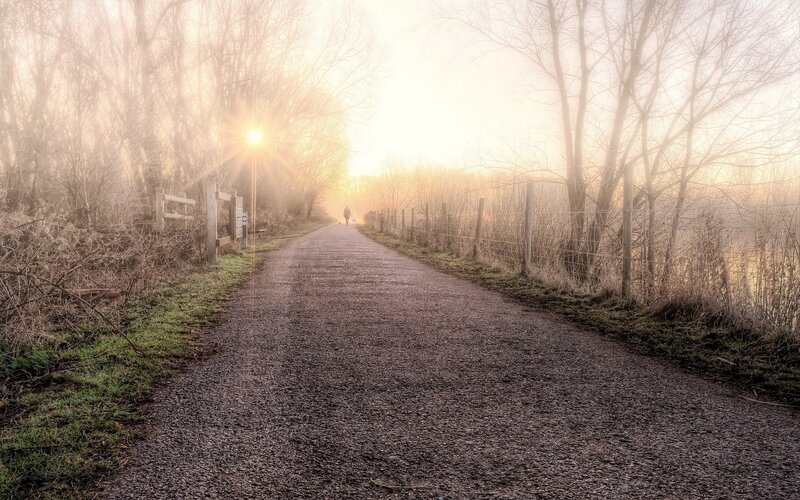 Foggy path at sunrise