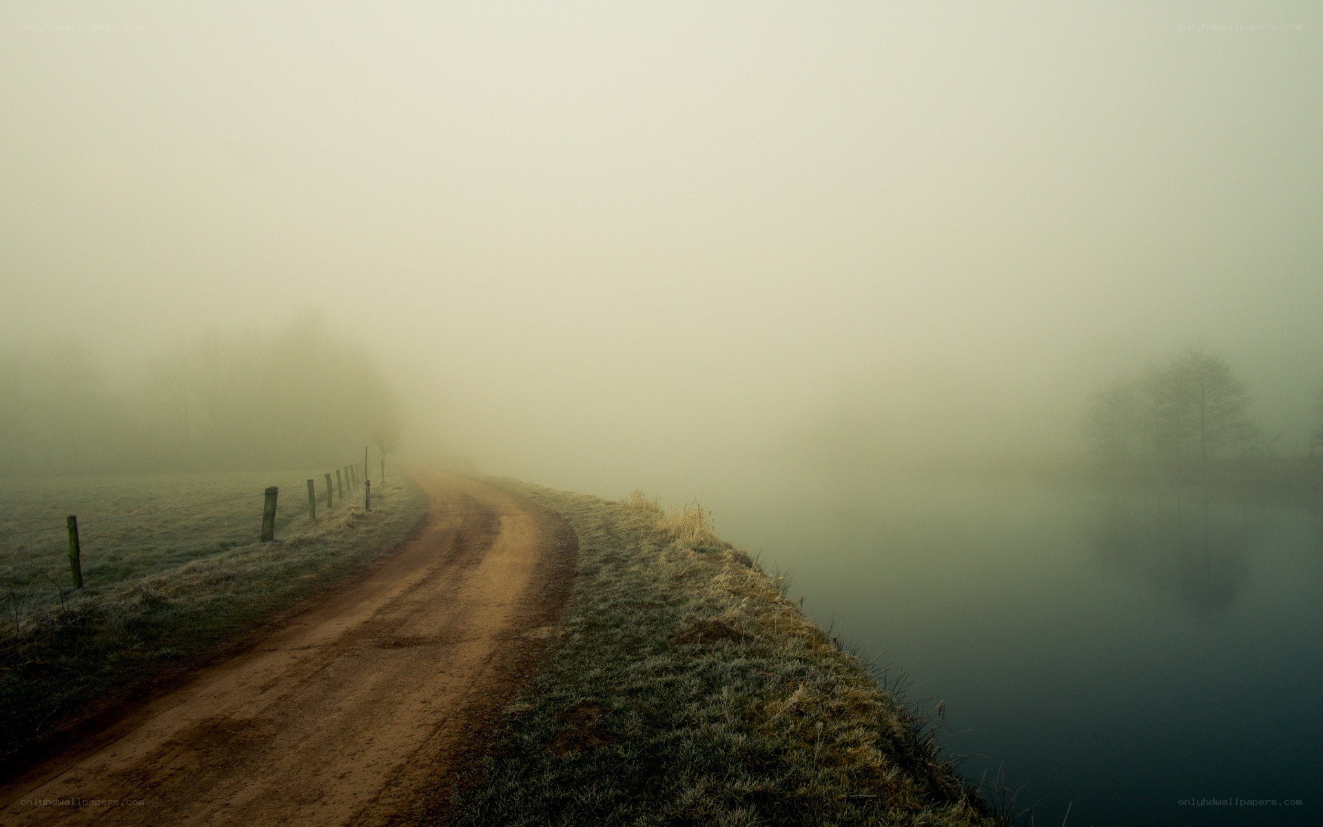 Foggy path by a calm lake