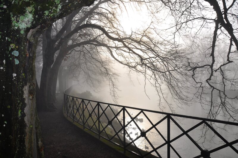 Foggy Path by River — Gray