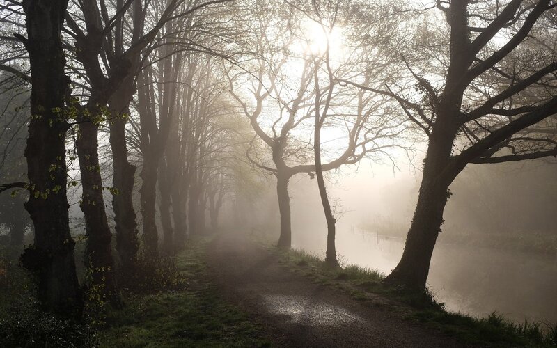 Foggy Path by River — Green