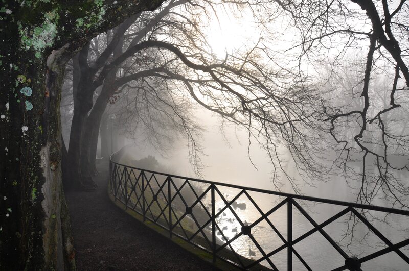 Foggy Path by River