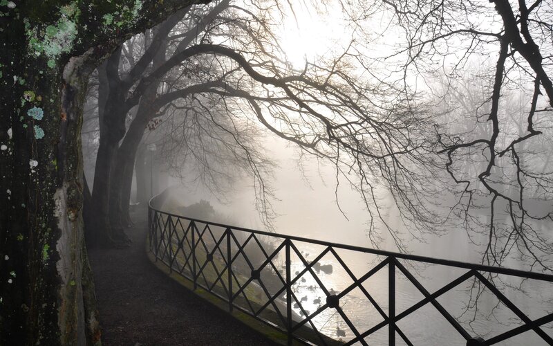 Foggy path by the river