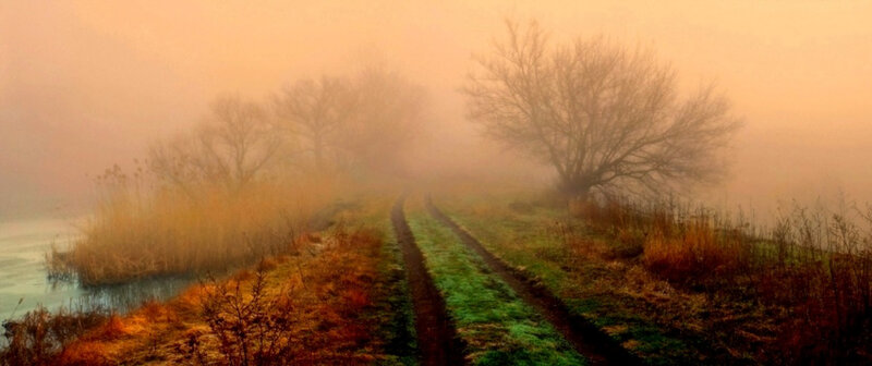 Foggy path by the river