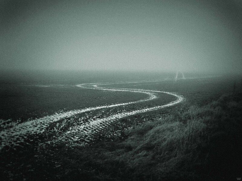 foggy path in a field