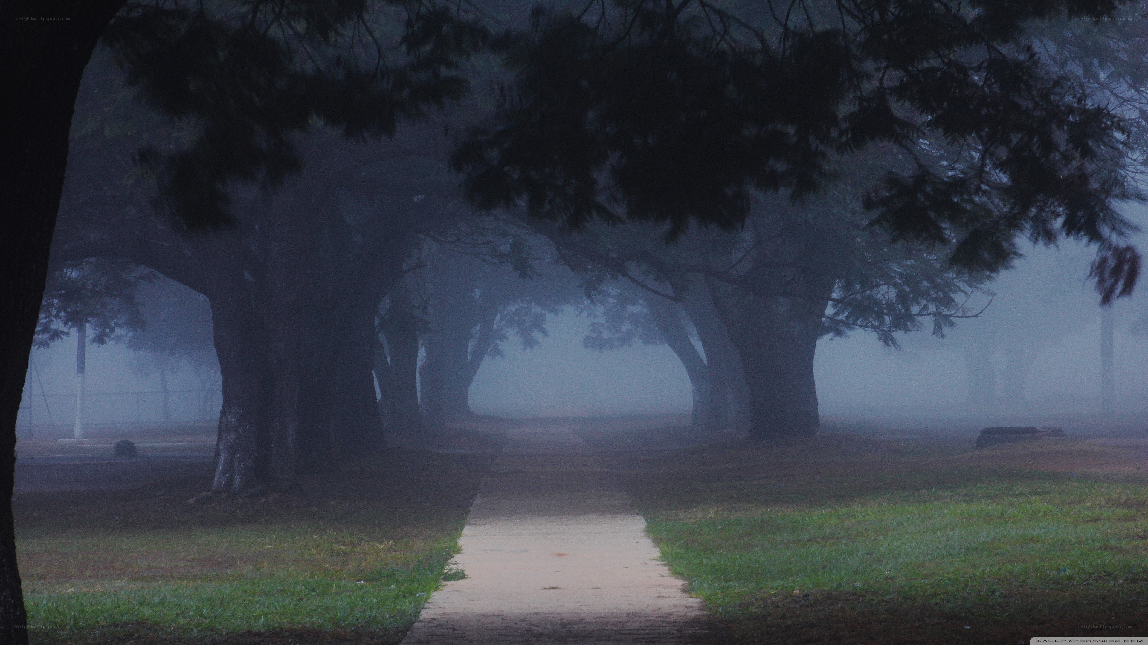 Foggy path in a park