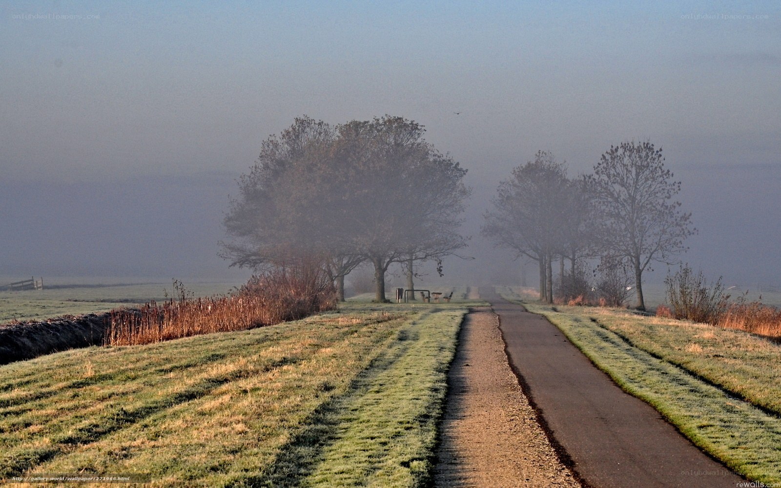 Foggy Path in Autumn