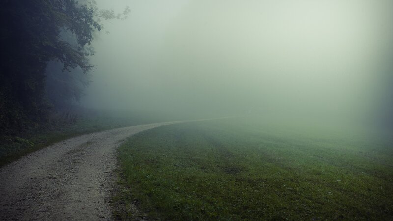 Foggy path in the forest
