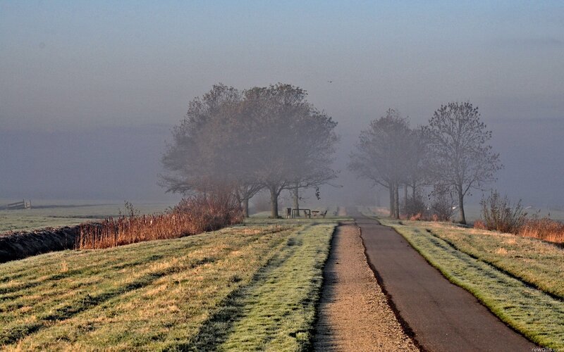 Foggy path in the morning