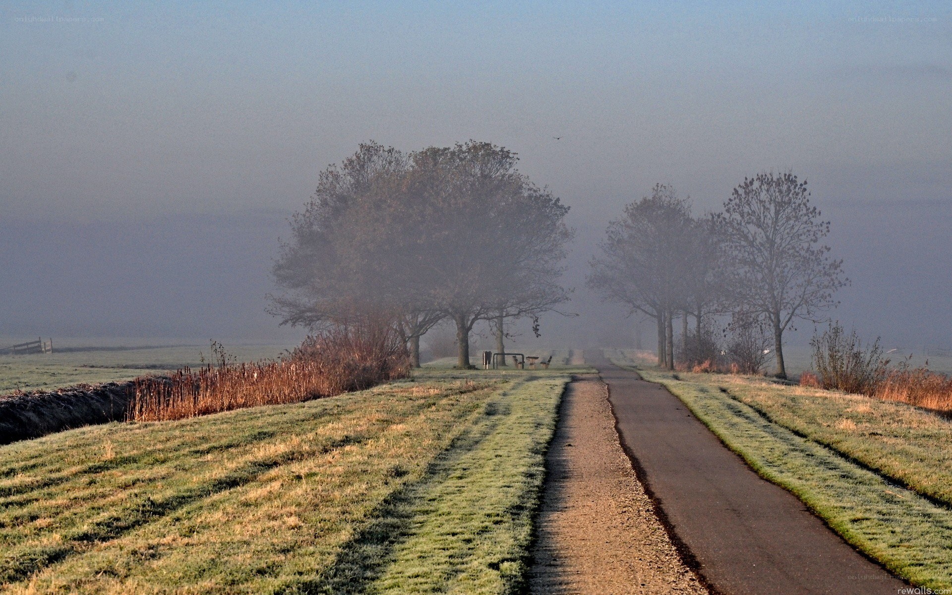 Foggy path in the morning