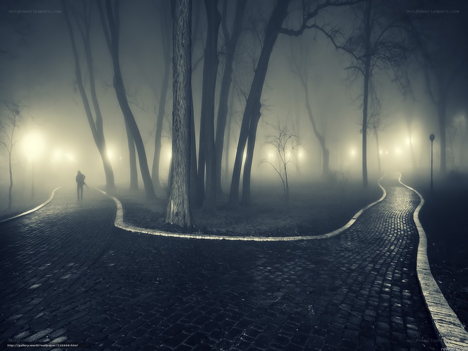 Foggy path in the park
