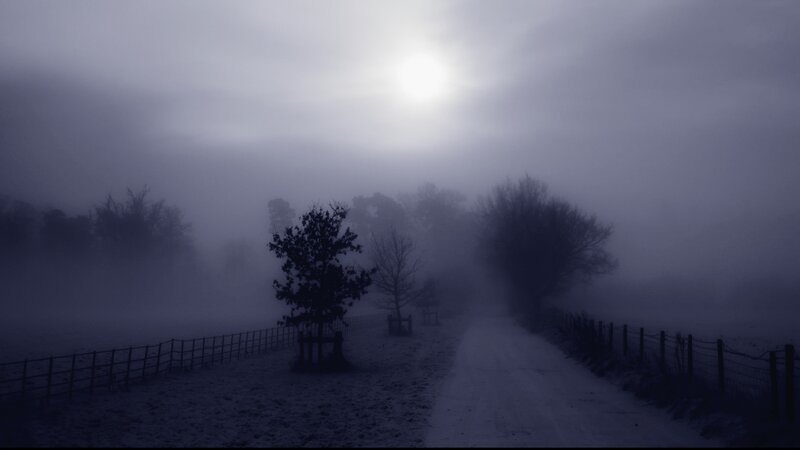 Foggy Path in Winter