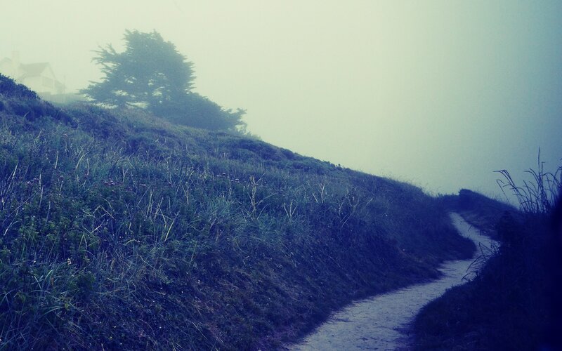 Foggy path on a hillside